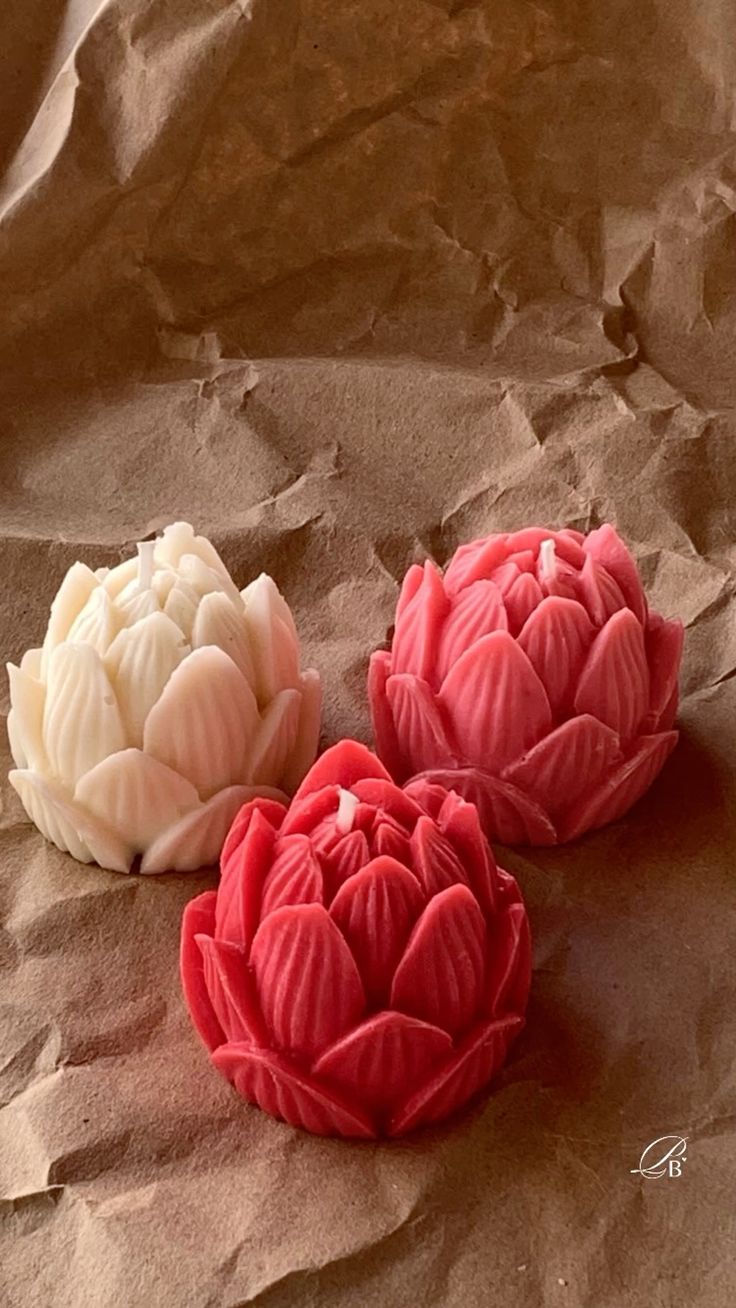 Botanical  Lotus Bloom Candle Collection
