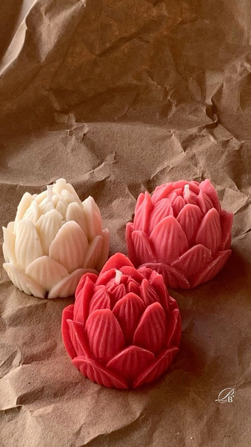 Botanical  Lotus Bloom Candle Collection