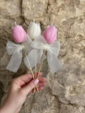 Tulip rose with delicacy