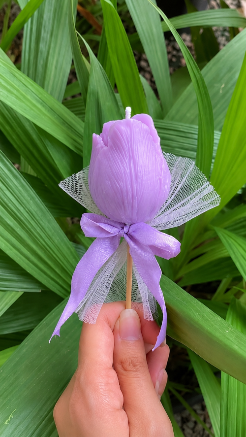 Purple tulip with a sheer ribbon held by a hand against green leaves