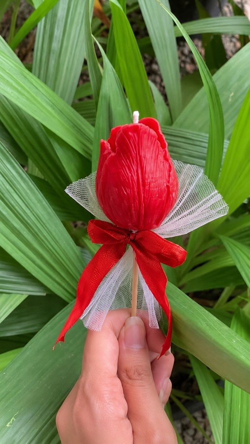 Red tulip-shaped candle on a stick held by a hand with green plants in the background