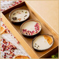Tropical Coconut Shell Candle 🥥🕯️- Set of 3
